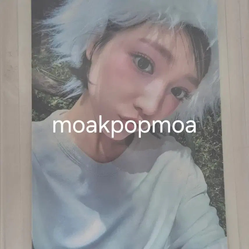 [BUNJANG] Kiki Jiyu Workshop Photocard / 키키 지유 공방 포카 양도 판매 wts