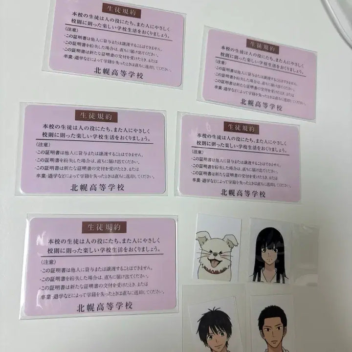 [BUNJANG] Kitto Your Heart Reached Me Student ID Photo Set / 킷토님 너에게 닿기를 학생증 증사 세트 고전문구