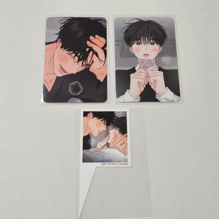 [BUNJANG] Tounique Hay Poca Wedding Photo POB / 향의경계 향경 투니크 헤이포카 웨딩사진 프박 프린티 질문카드 포카 데코픽
