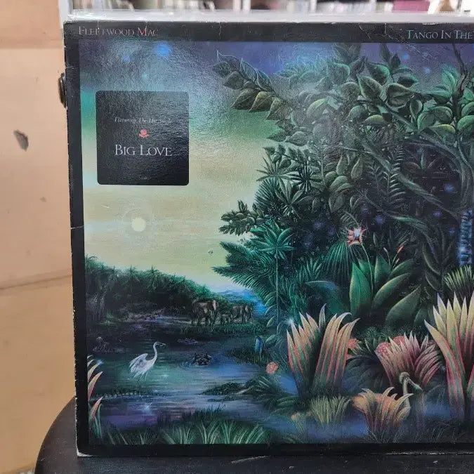 [BUNJANG] Fleetwood Mac Jacket Album / 플리티우드 맥