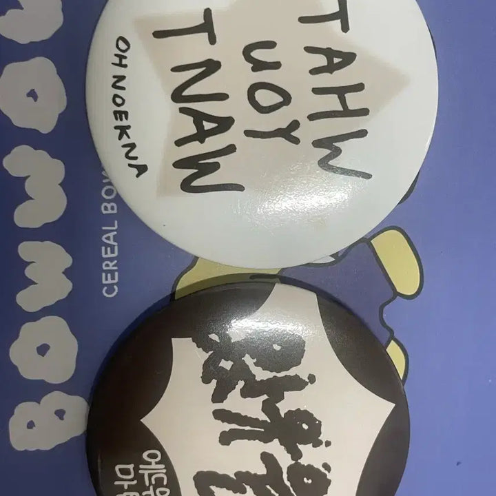 [SOLD OUT] 코르티스 쇼케 핀뱃지