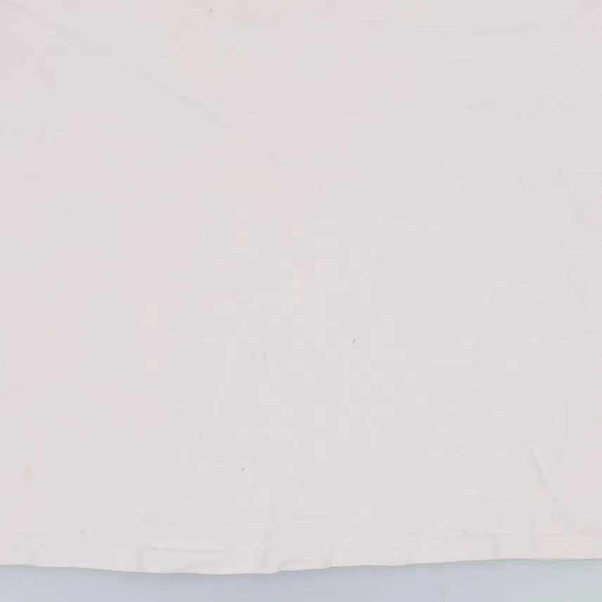[BUNJANG] L Champion Round Short Sleeve T-shirt / L 챔피온 라운드 반팔티 0320H1