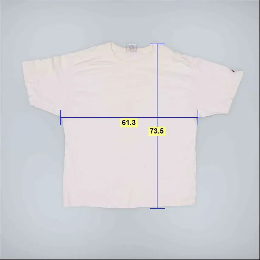 [BUNJANG] L Champion Round Short Sleeve T-shirt / L 챔피온 라운드 반팔티 0320H1