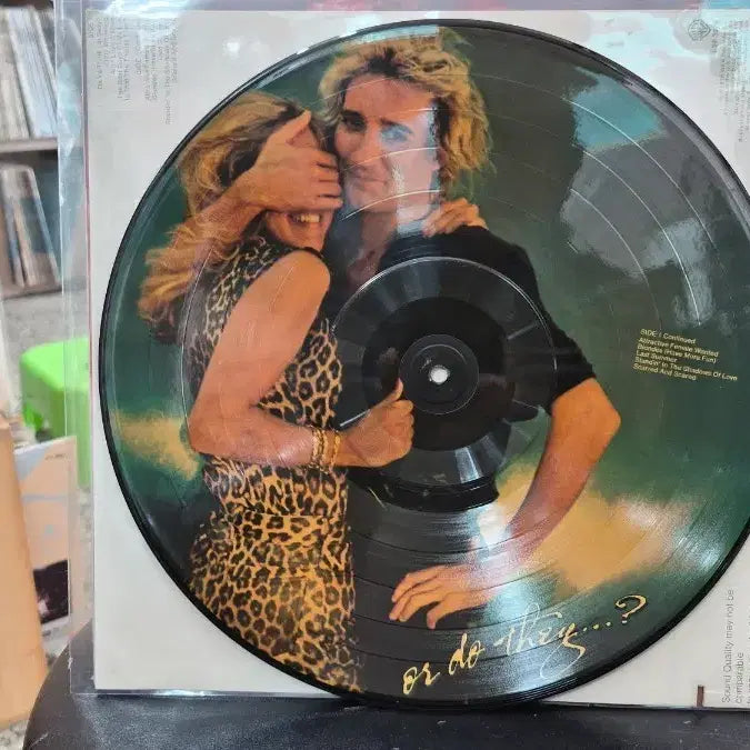 [BUNJANG] Road Stewart Picture Disc Vinyl Record / 로드스튜어트 픽처디스크