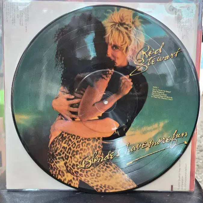 [BUNJANG] Road Stewart Picture Disc Vinyl Record / 로드스튜어트 픽처디스크