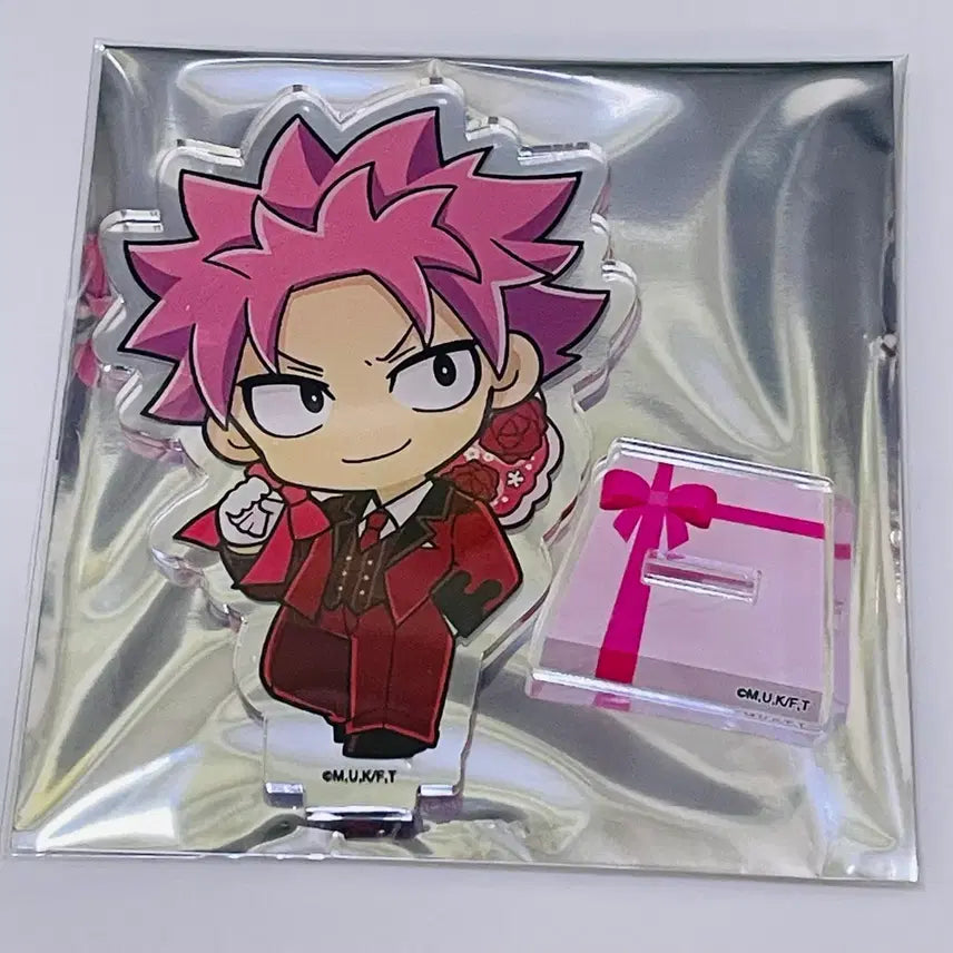 [BUNJANG] Fairy Tail Natsu Dragneel Valentine&