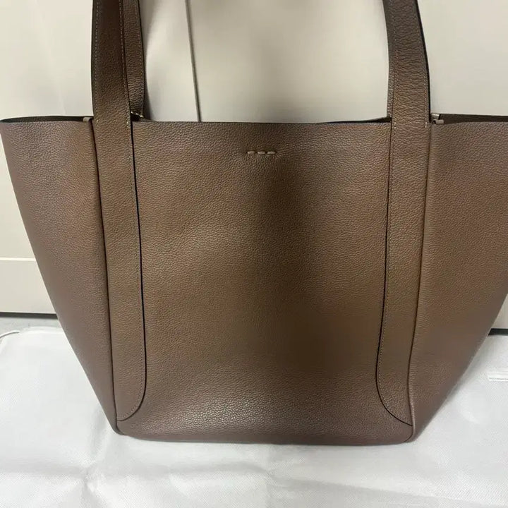 [BUNJANG] Coach Hadley Tote Bag / 코치 해들리 토트백