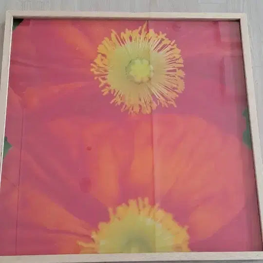 [BUNJANG] Ahn Woong-chul "Poppies" Exhibition Photo (2012) / 안웅철 작품사진