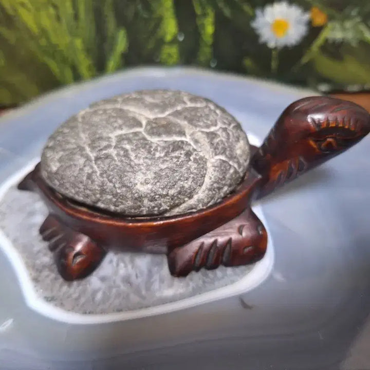 [BUNJANG] Gu Gap Seok Turtle Stone Decor / 인테리어소품>구갑석 거북이 수석>원석, 수석,광물