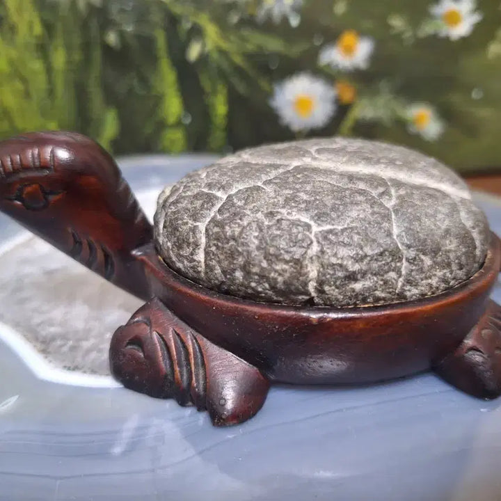 [BUNJANG] Gu Gap Seok Turtle Stone Decor / 인테리어소품>구갑석 거북이 수석>원석, 수석,광물