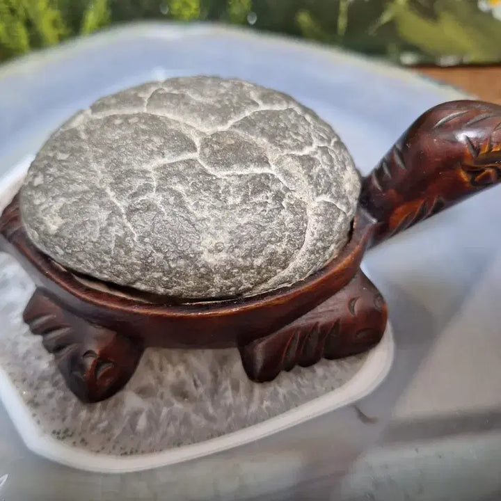 [BUNJANG] Gu Gap Seok Turtle Stone Decor / 인테리어소품>구갑석 거북이 수석>원석, 수석,광물