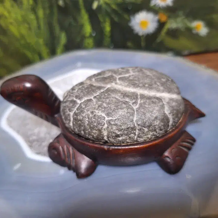 [BUNJANG] Gu Gap Seok Turtle Stone Decor / 인테리어소품>구갑석 거북이 수석>원석, 수석,광물