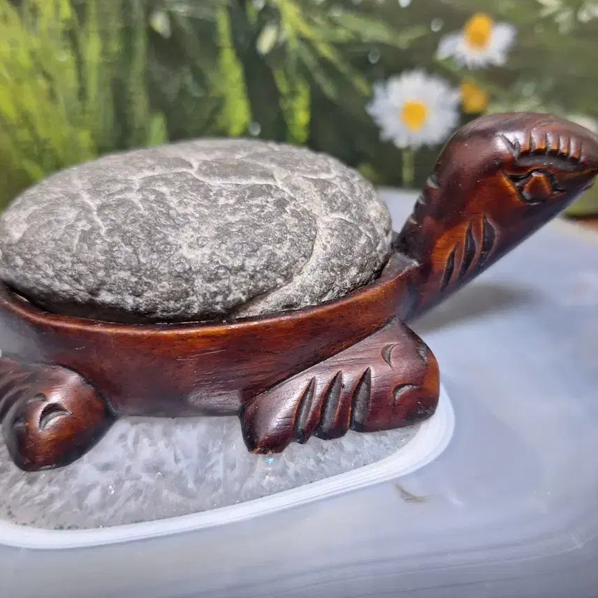 [BUNJANG] Gu Gap Seok Turtle Stone Decor / 인테리어소품>구갑석 거북이 수석>원석, 수석,광물