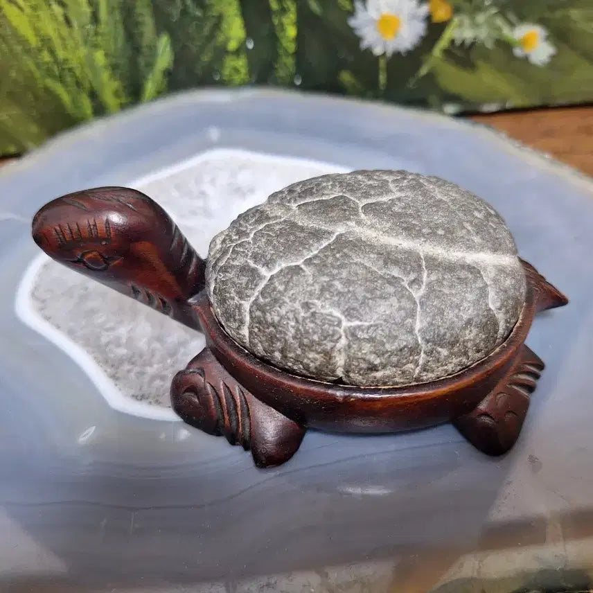 [BUNJANG] Gu Gap Seok Turtle Stone Decor / 인테리어소품>구갑석 거북이 수석>원석, 수석,광물