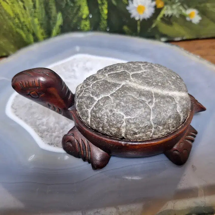 [BUNJANG] Gu Gap Seok Turtle Stone Decor / 인테리어소품>구갑석 거북이 수석>원석, 수석,광물