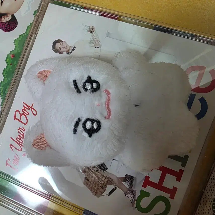 [BUNJANG] SHINee Kim Bbome Doll / 샤이니 인형 김뽀메