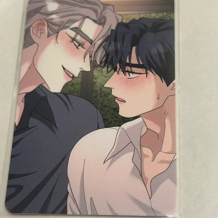 [BUNJANG] JaeMeeShop Special POB Photocard / 재이미샵 신학기 굿즈 특전 포토카드 뿌리없는나무