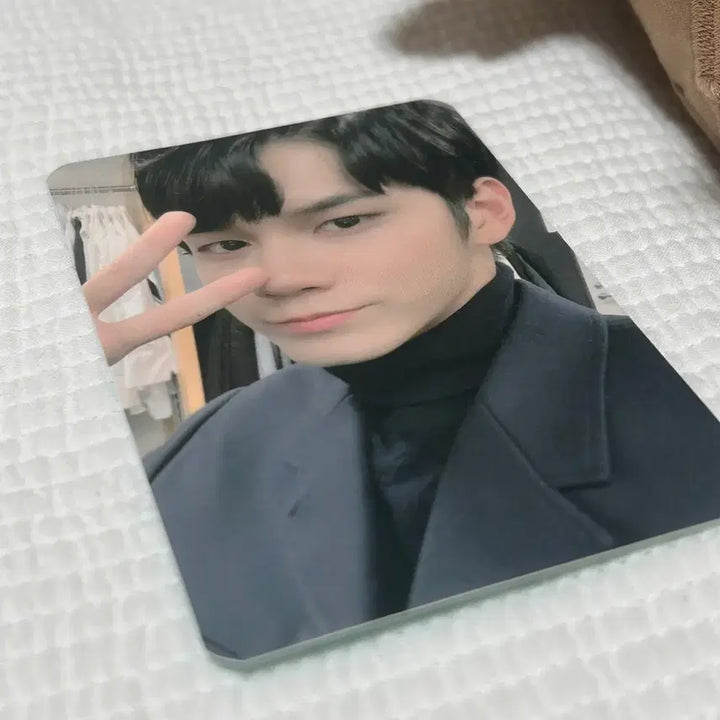 [BUNJANG] Wanna One Ong Seongwu Doll / (포카O.공식) 워너원 옹성우 인형