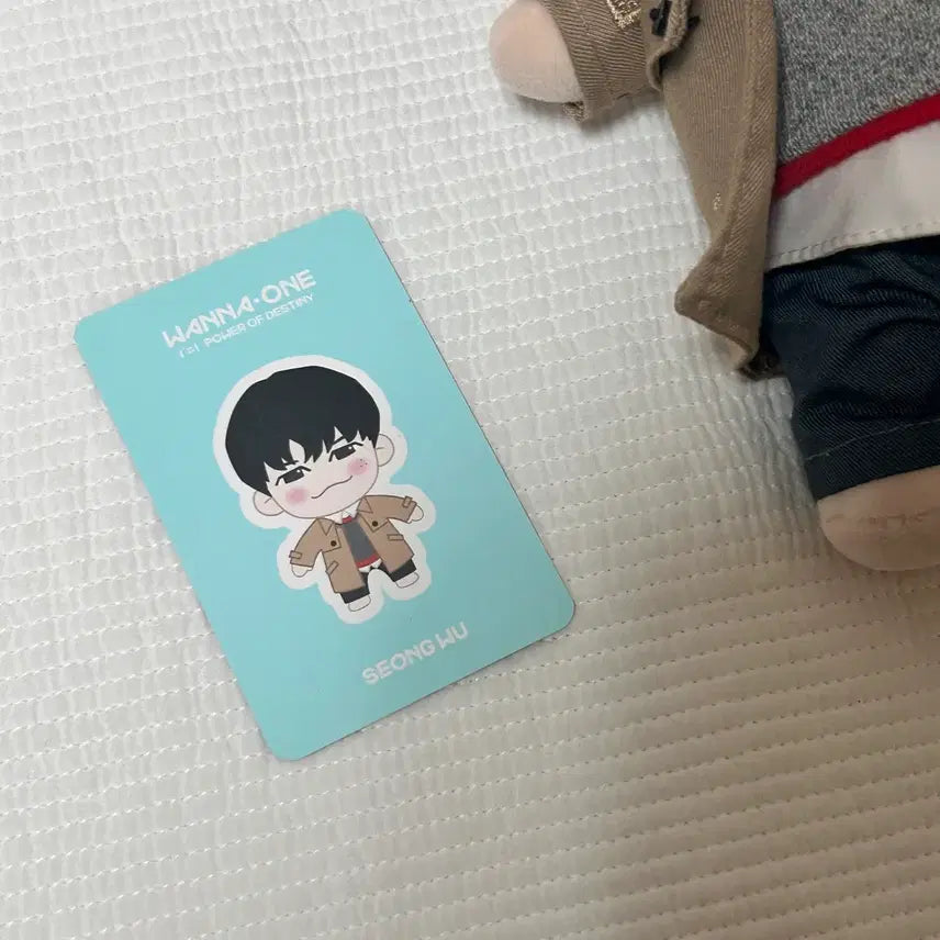 [BUNJANG] Wanna One Ong Seongwu Doll / (포카O.공식) 워너원 옹성우 인형