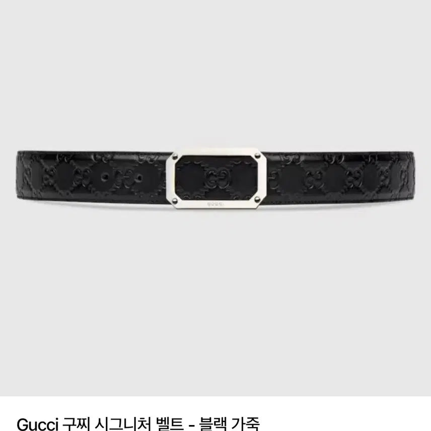 [BUNJANG] Gucci Signature Belt / 구찌 시그니처 벨트