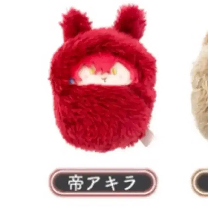 [SOLD OUT] 초 카구야 공주 초 가구야 공주 타피누이 미카도