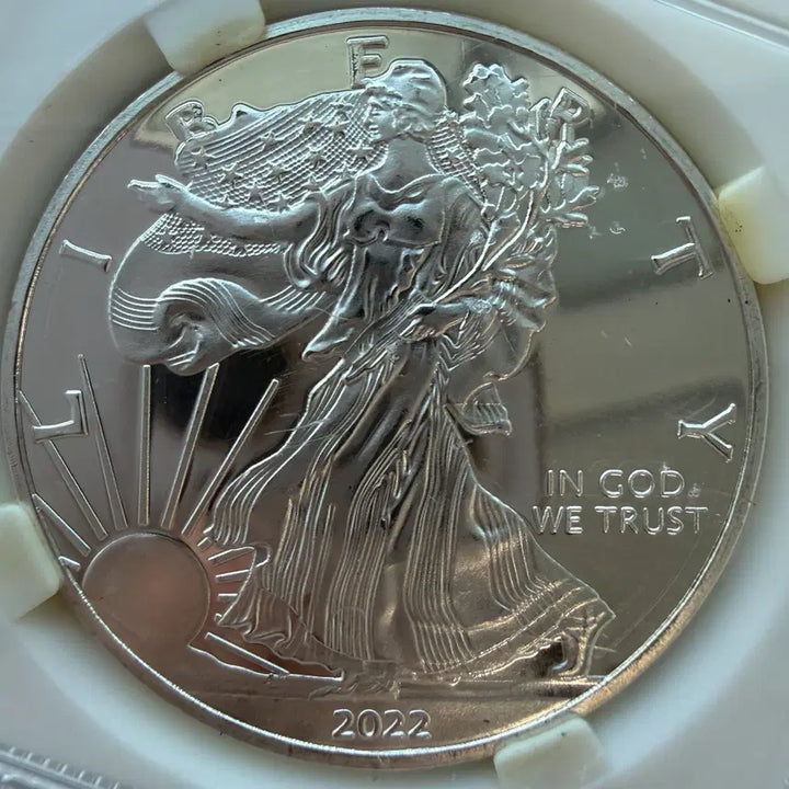 [BUNJANG] American Silver Eagle 1 Dollar Coin / [장식품] 2022년 미국 실버 이글 1달러 동전 S1104