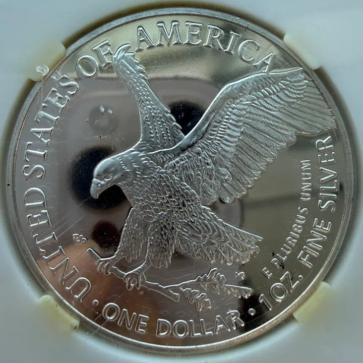 [BUNJANG] American Silver Eagle 1 Dollar Coin / [장식품] 2022년 미국 실버 이글 1달러 동전 S1104