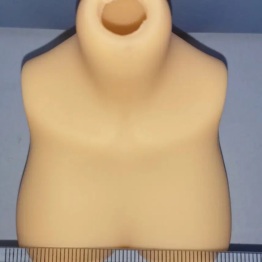 [BUNJANG] Unspecified Doll Chest Piece / 구체관절인형 흉부파츠 팝니다.
