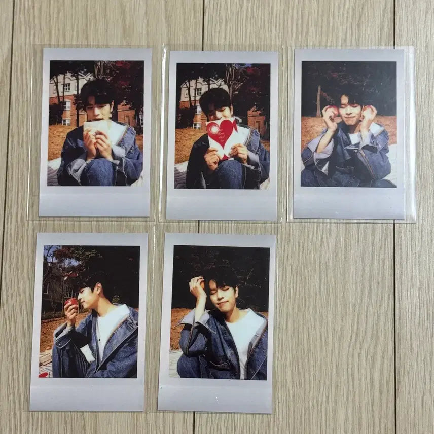[BUNJANG] Stray Kids Seungmin Unlock POB Photocard Bundle Set / 스트레이키즈 승민 온콘 언락 짭폴라 폴라 특전 포카 5장 일괄