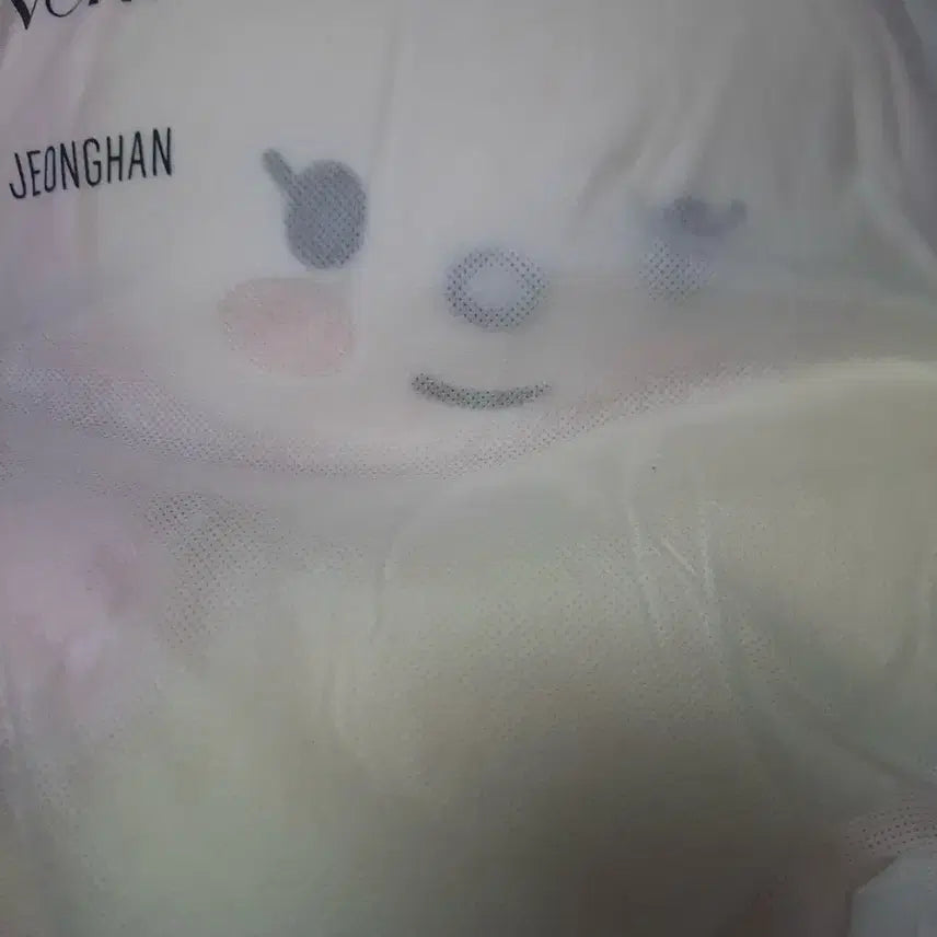 [BUNJANG] SEVENTEEN Jeonghan Artist Made Jjongtoram Doll / 세븐틴 정한 아티스트 메이드 쫑토람 인형만 양도합니다