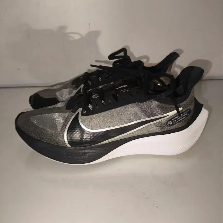 [BUNJANG] Nike Zoom Gravity Running Shoes 250mm / 250mm 나이키 줌 그래비티 러닝화