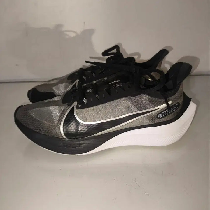 [BUNJANG] Nike Zoom Gravity Running Shoes 250mm / 250mm 나이키 줌 그래비티 러닝화