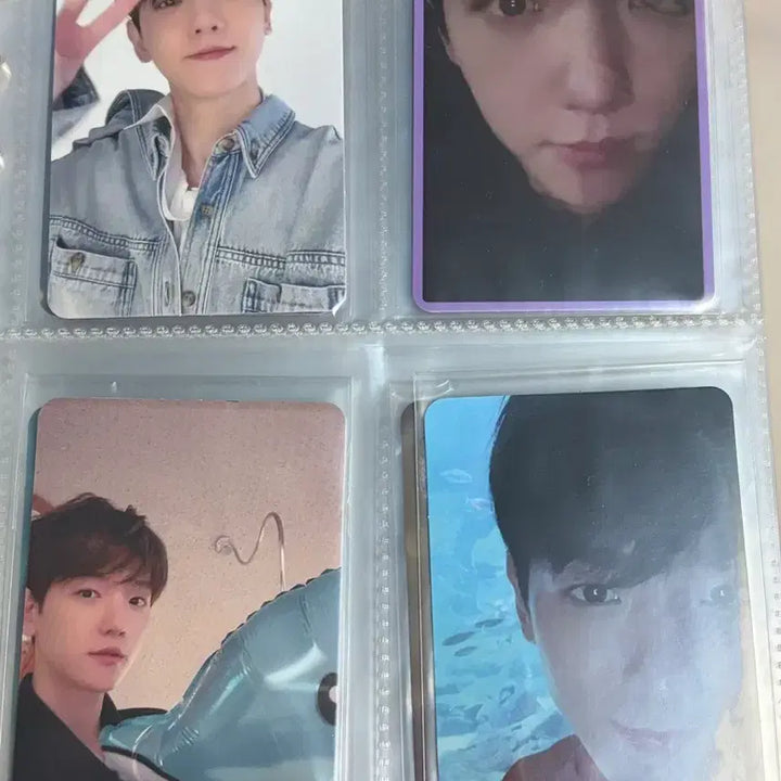 [BUNJANG] Baekhyun Bambi Album Photocard Bundle Set / 백현 밤비 앨범 포카 일괄