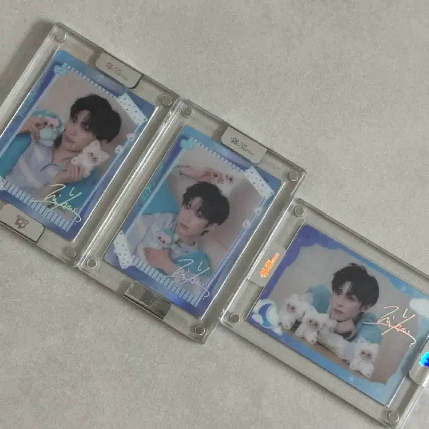 [BUNJANG] Zwie Gismo Photocard Bundle Set / 즈위 기스모우 굿즈 포카 양도 판매
