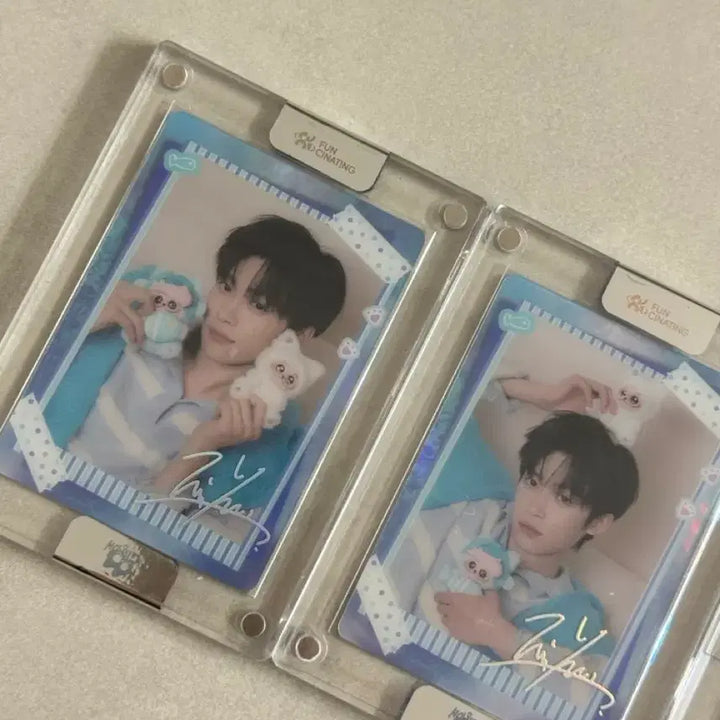[BUNJANG] Zwie Gismo Photocard Bundle Set / 즈위 기스모우 굿즈 포카 양도 판매