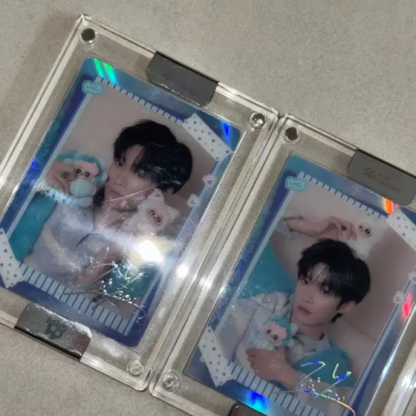 [BUNJANG] Zwie Gismo Photocard Bundle Set / 즈위 기스모우 굿즈 포카 양도 판매