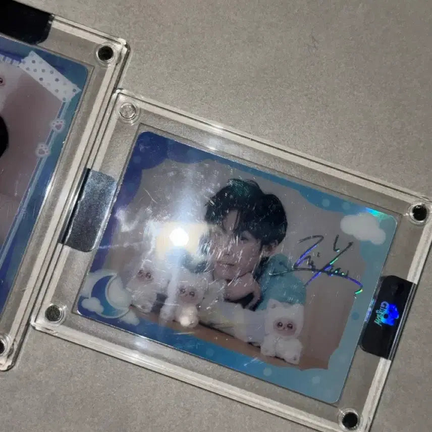 [BUNJANG] Zwie Gismo Photocard Bundle Set / 즈위 기스모우 굿즈 포카 양도 판매