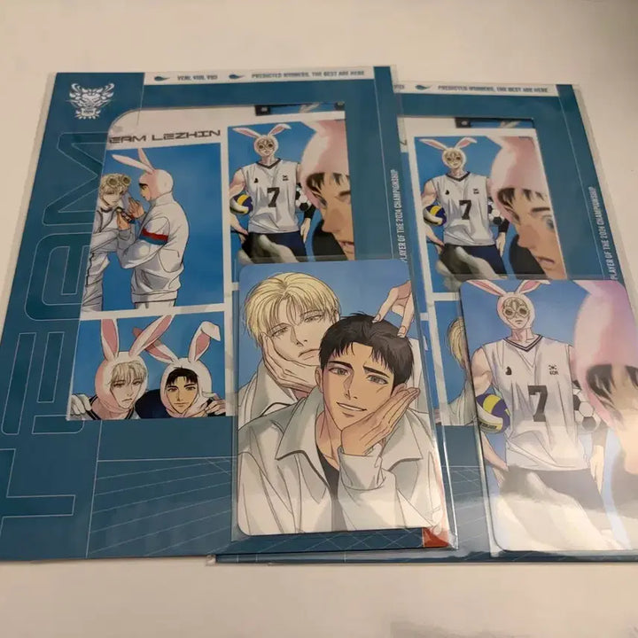 [SOLD OUT] 백라이트 팀레진 필름 네컷 패키지 2개 포카 포함 재이미샵 레진