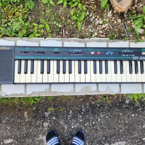[BUNJANG] Goldstar GEK-1000 Electronic Organ / 수집용//금성 유아용 전자피아노 GEK-1000