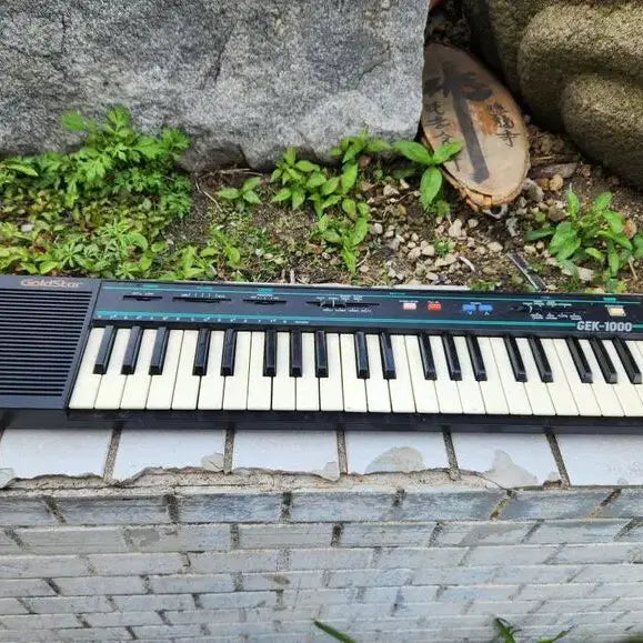 [BUNJANG] Goldstar GEK-1000 Electronic Organ / 수집용//금성 유아용 전자피아노 GEK-1000