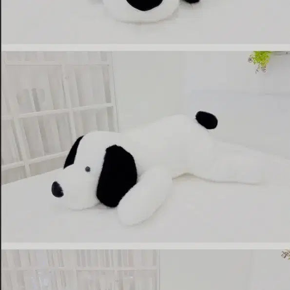[BUNJANG] Hug Puppy White Large Plush 70cm Doll / 허그퍼피 화이트 대형 인형 70cm (새상품)