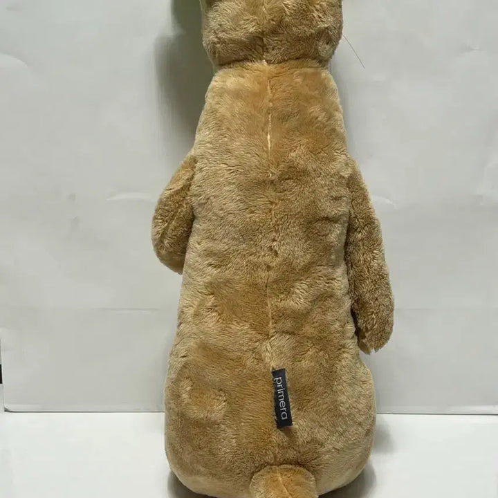 [BUNJANG] Primera Otter Plush Toy / 프리메라 수달인형