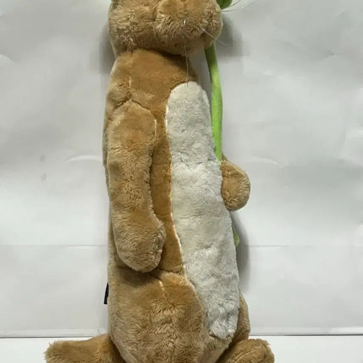 [BUNJANG] Primera Otter Plush Toy / 프리메라 수달인형