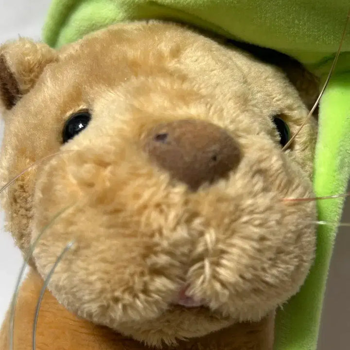 [BUNJANG] Primera Otter Plush Toy / 프리메라 수달인형