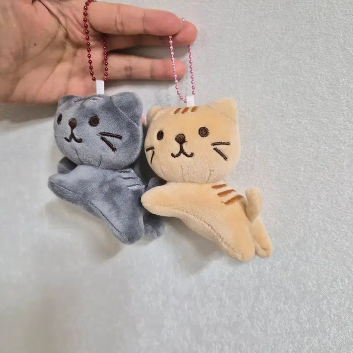 [SOLD OUT] 고양이 인형 키링 세트