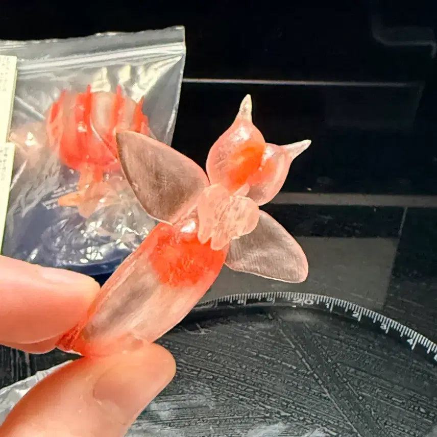 [SOLD OUT] (단종)10여년 전 가챠 다카라토미 심해어 가챠 5종 판매