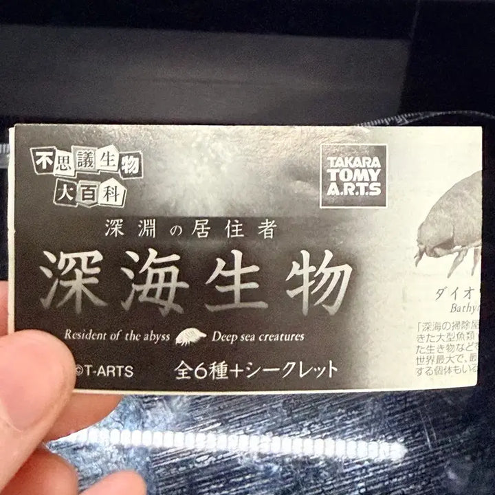 [SOLD OUT] (단종)10여년 전 가챠 다카라토미 심해어 가챠 5종 판매