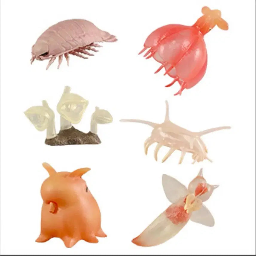 [SOLD OUT] (단종)10여년 전 가챠 다카라토미 심해어 가챠 5종 판매