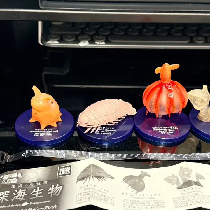 [SOLD OUT] (단종)10여년 전 가챠 다카라토미 심해어 가챠 5종 판매