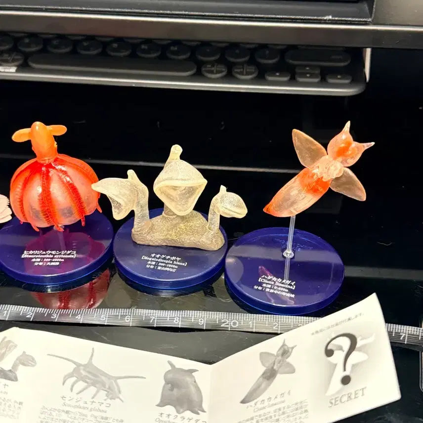 [SOLD OUT] (단종)10여년 전 가챠 다카라토미 심해어 가챠 5종 판매